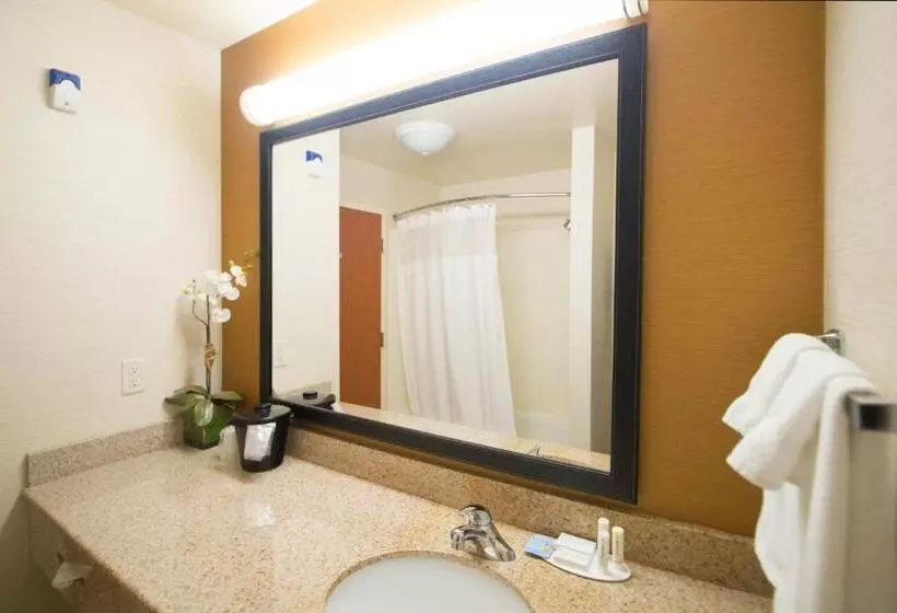 キングサイズベッドのスタンダードルーム, Fairfield Inn & Suites Burley
