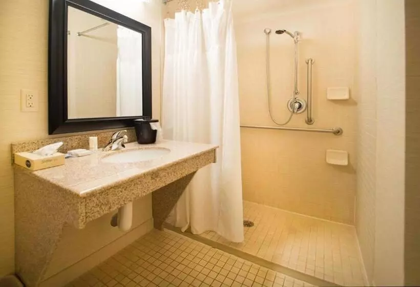 キングサイズベッドのスタンダードルーム, Fairfield Inn & Suites Burley
