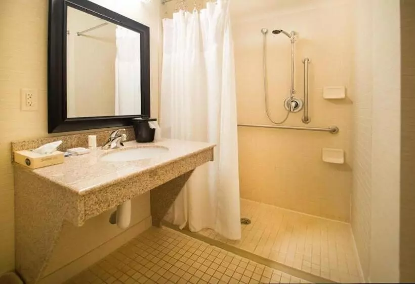 スタンダードルーム, Fairfield Inn & Suites Burley