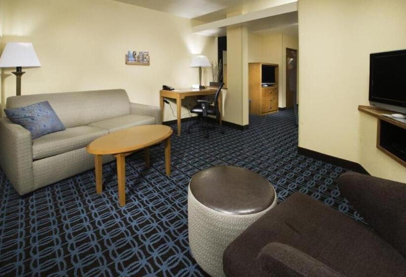 إستوديو قياسى سرير كينج, Fairfield Inn & Suites Burley