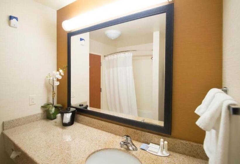 إستوديو قياسى سرير كينج, Fairfield Inn & Suites Burley