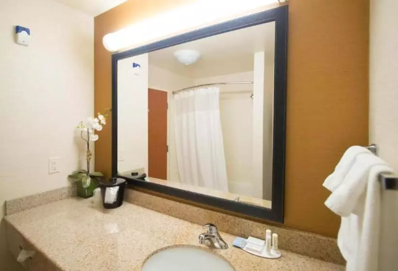 キングサイドベッドのスタンダードワンルーム, Fairfield Inn & Suites Burley