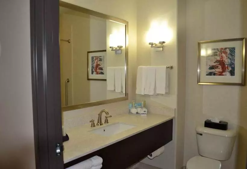 Sviitti, Holiday Inn Express Hotel And Suites Duncan, An Ihg