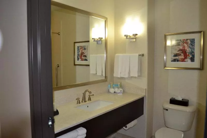 Sviitti King-vuode, Holiday Inn Express Hotel And Suites Duncan, An Ihg