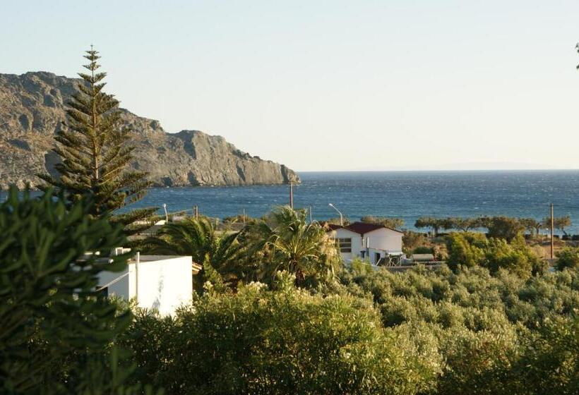 스탠다드 룸 바다 전망, Lofos