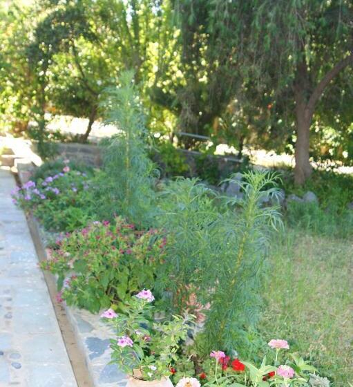 스탠다드 룸 바다 전망, Lofos