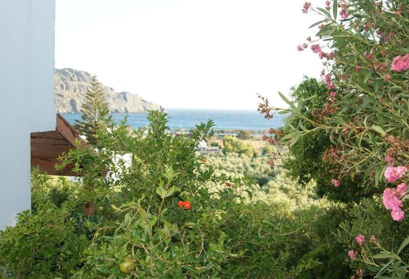 스탠다드 룸 바다 전망, Lofos