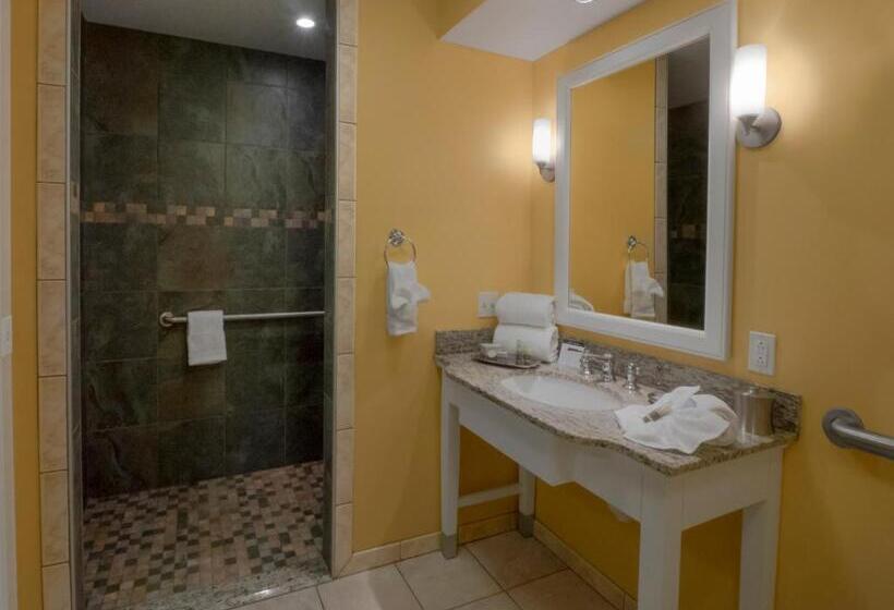 חדר סטנדרט, מיטת קינג, מותאם לאדם עם מוגבלויות, Watkins Glen Harbor