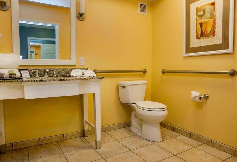 חדר סטנדרט מותאם לאדם עם מוגבלויות, Watkins Glen Harbor