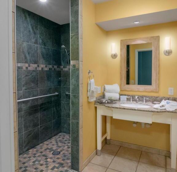 חדר סטנדרט מותאם לאדם עם מוגבלויות, Watkins Glen Harbor