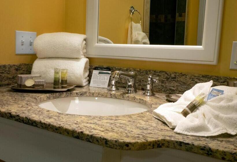 חדר סטנדרט נוף לאגם, Watkins Glen Harbor