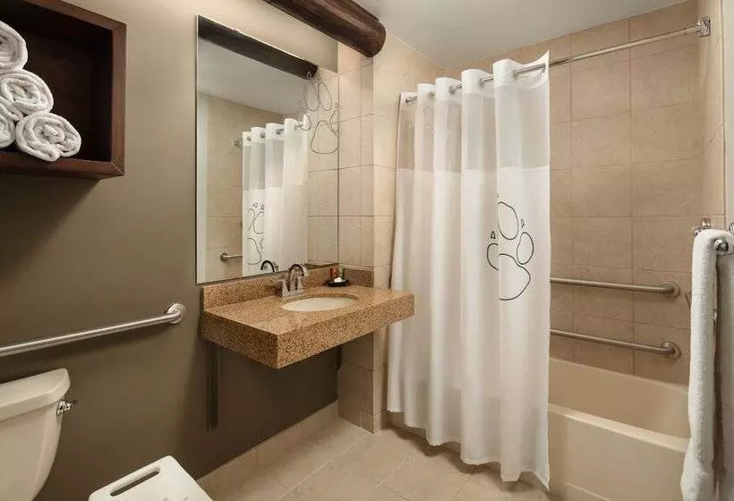 スイート, Great Wolf Lodge Grapevine