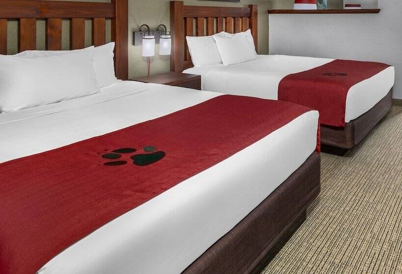 스위트, Great Wolf Lodge Grapevine