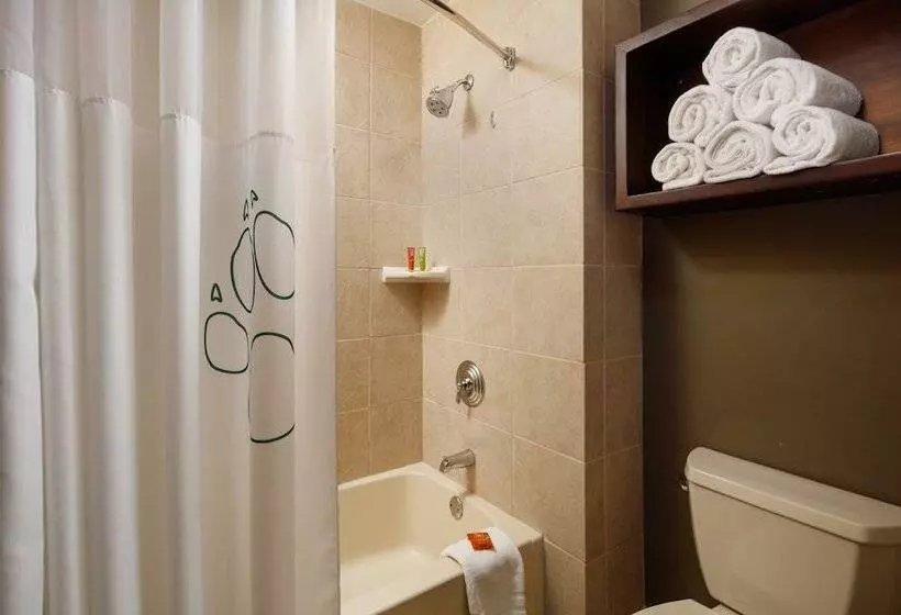 スイート(家族用), Great Wolf Lodge Grapevine