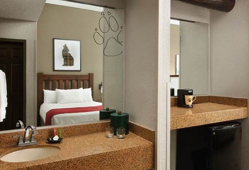 패밀리 스위트, Great Wolf Lodge Grapevine
