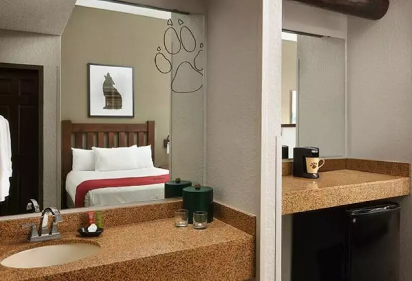 スイート(家族用), Great Wolf Lodge Grapevine