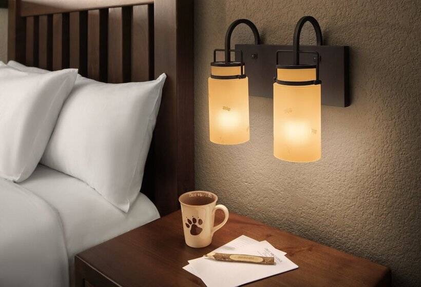 패밀리 스위트, Great Wolf Lodge Grapevine