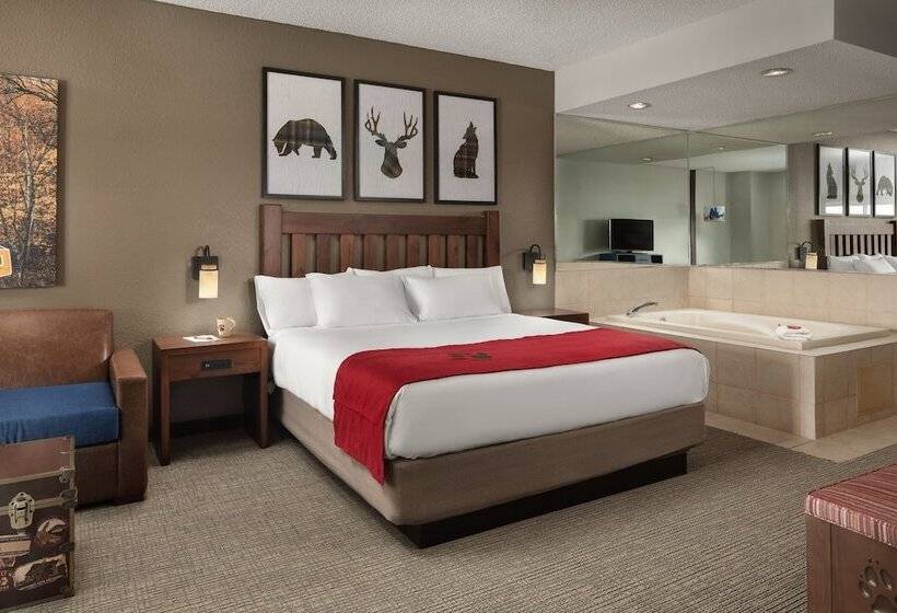 스위트, Great Wolf Lodge Grapevine