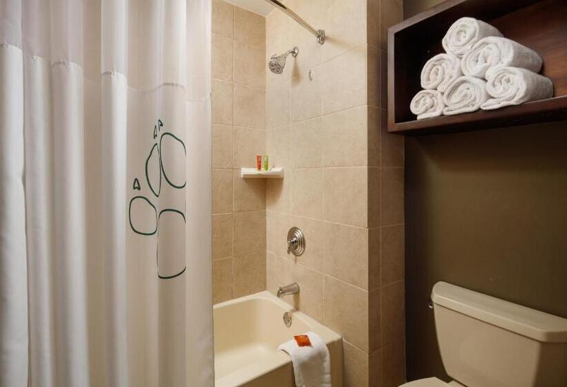 장애인을 위한 스위트, Great Wolf Lodge Grapevine