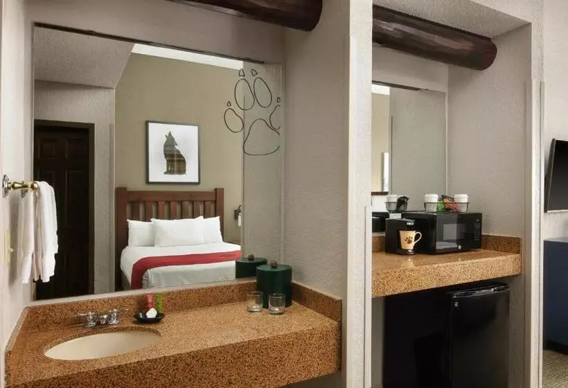 身障者適用スイートルーム, Great Wolf Lodge Grapevine
