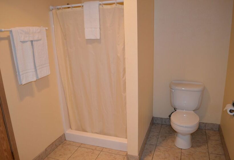 חדר סטנדרט שתי מיטות זוגיות, Western Motel