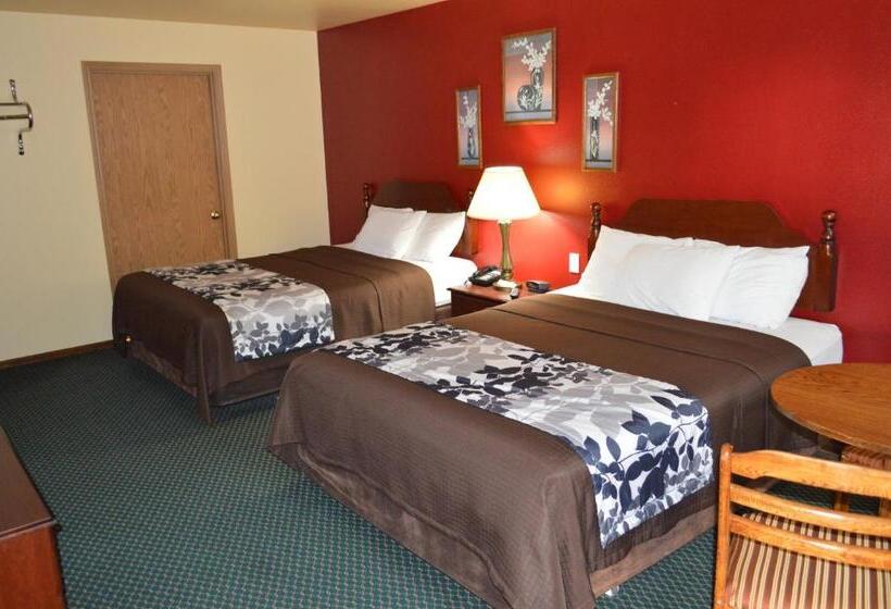 Номер Стандарт 2 Двуспальные Кровати, Western Motel