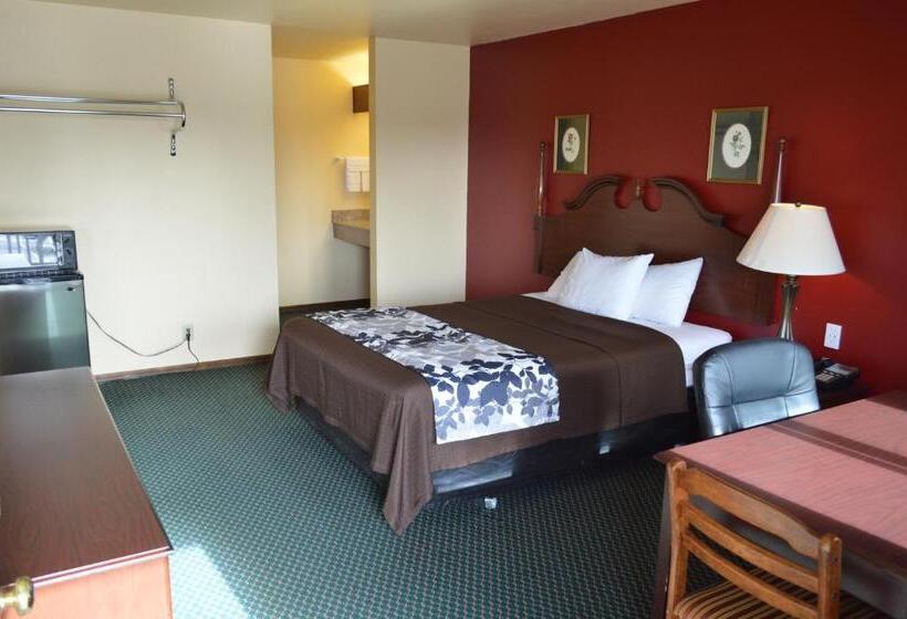 חדר סטנדרט, Western Motel