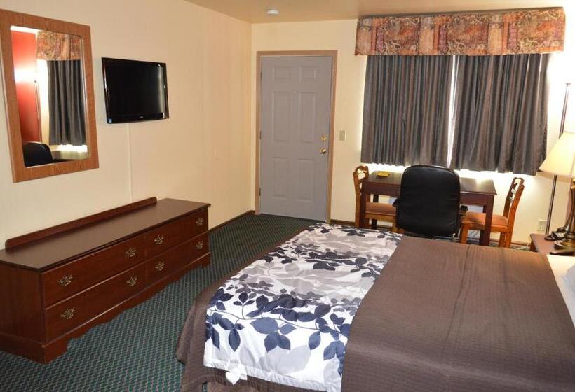 חדר סטנדרט, Western Motel