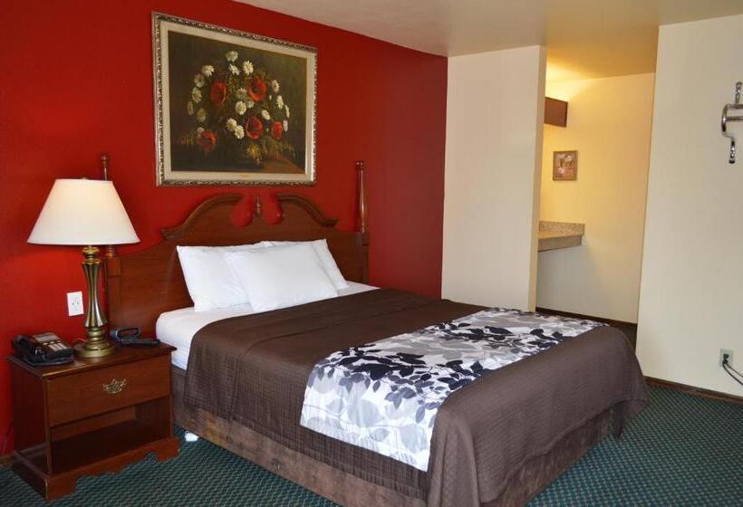 חדר סטנדרט, Western Motel