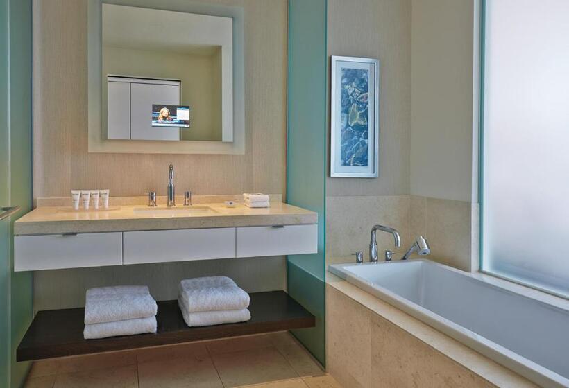 스탠다드 룸, Arista