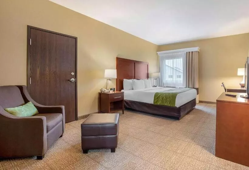 キングサイズベッドのスタンダードルーム, Comfort Inn Us 60 63