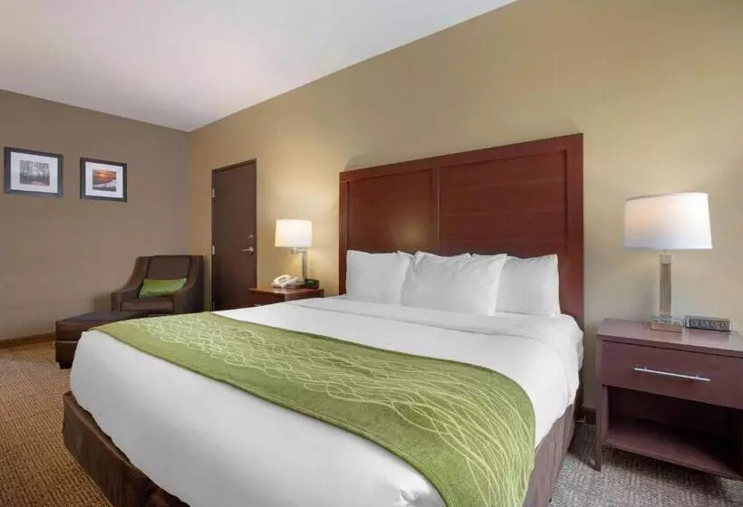 キングサイズベッドのスタンダードルーム, Comfort Inn Us 60 63