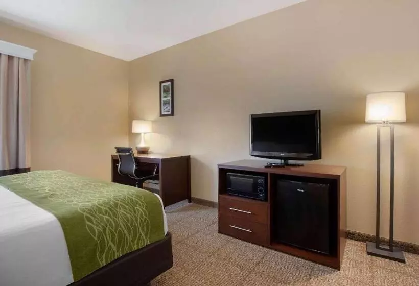 キングサイズベッドのスタンダードルーム, Comfort Inn Us 60 63
