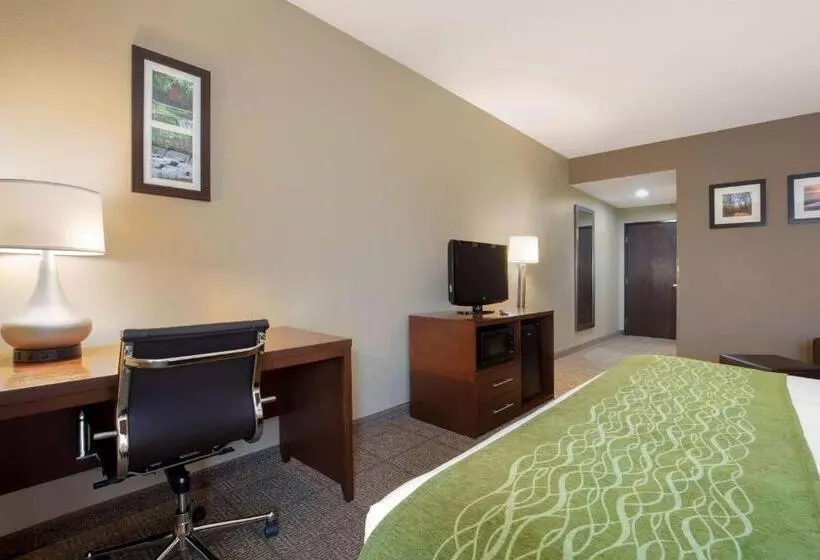 キングサイズベッドのスタンダードルーム, Comfort Inn Us 60 63