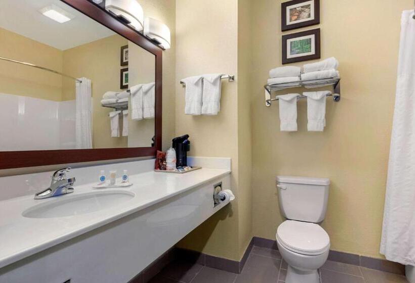 غرفة قياسية سرير كينج, Comfort Inn Us 60 63