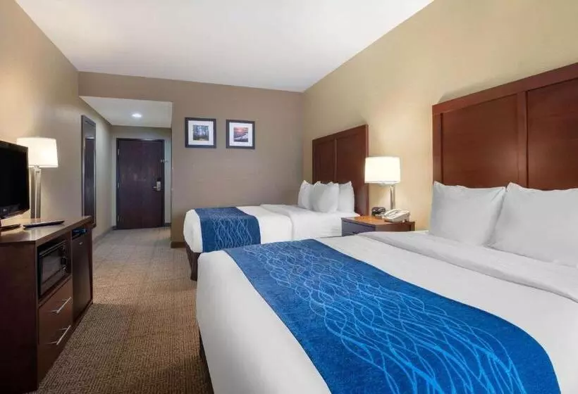 スタンダードルーム, Comfort Inn Us 60 63