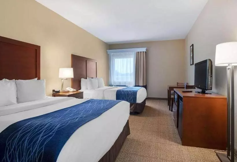 スタンダードルーム, Comfort Inn Us 60 63