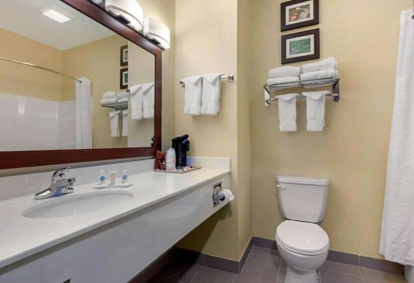 غرفة قياسية, Comfort Inn Us 60 63