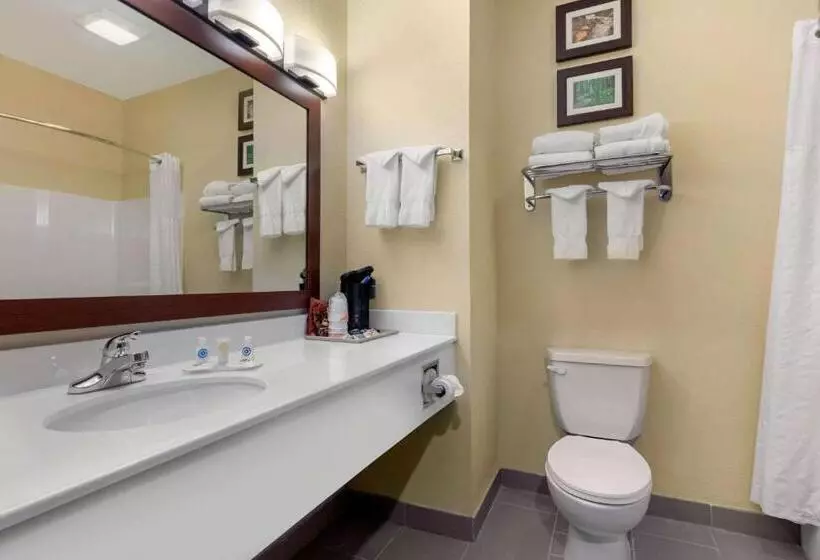 キングサイズベッドのスイートルーム, Comfort Inn Us 60 63