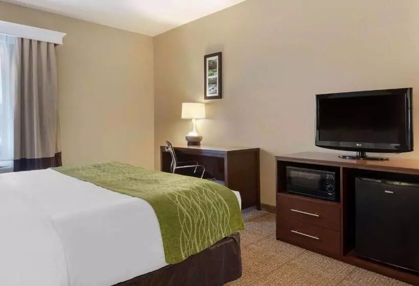 キングサイズベッドのスイートルーム, Comfort Inn Us 60 63