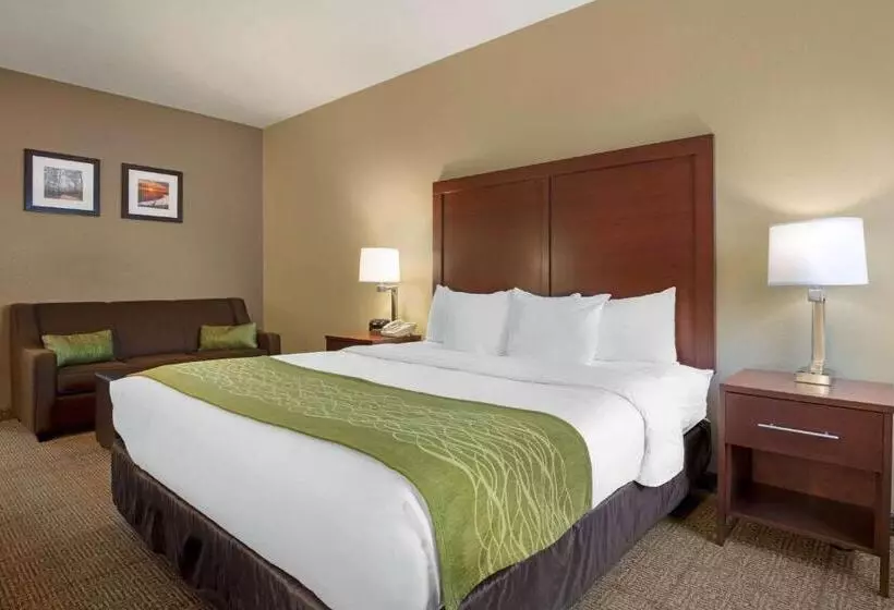 キングサイズベッドのスイートルーム, Comfort Inn Us 60 63