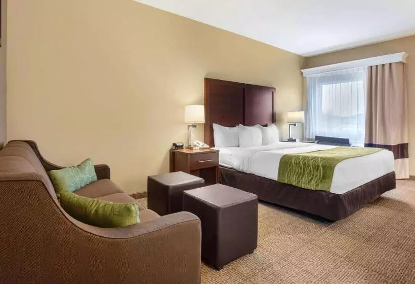 キングサイズベッドのスイートルーム, Comfort Inn Us 60 63