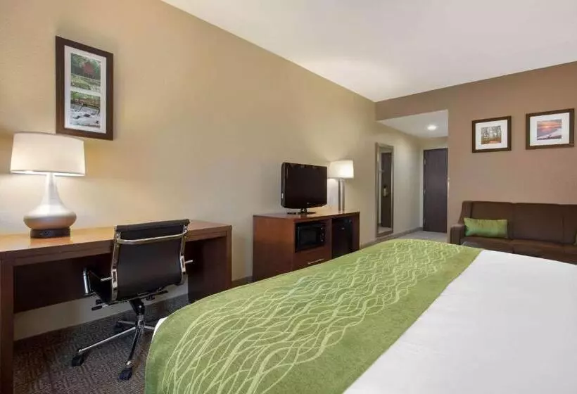 キングサイズベッドのスイートルーム, Comfort Inn Us 60 63