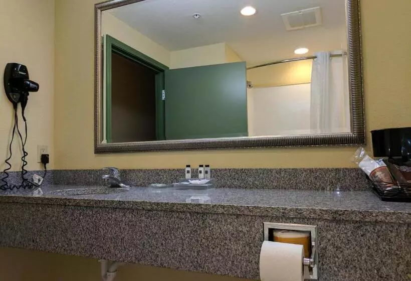 プレミアムルーム, Country Inn & Suites By Radisson, Tallahassee University Area, Fl
