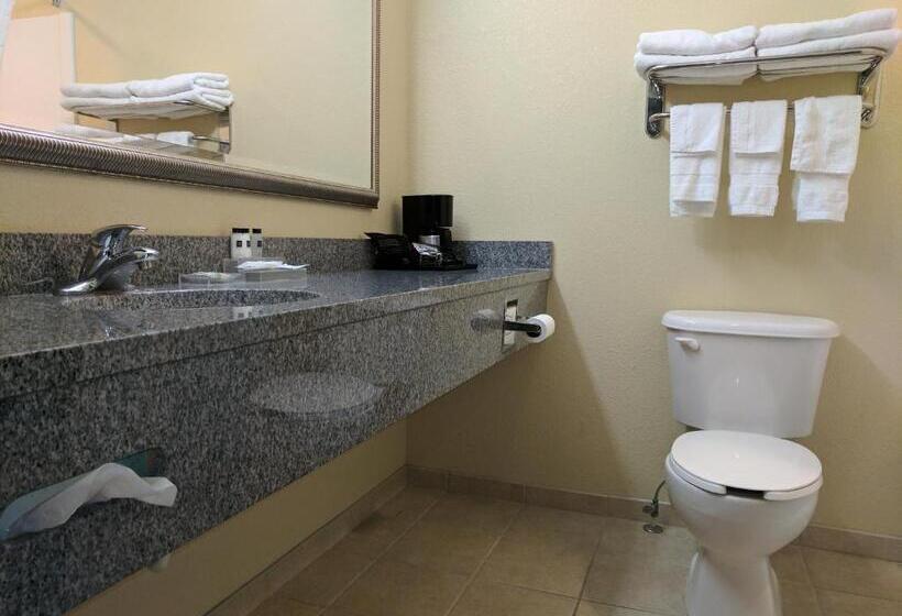 Стандартный Номер Кровать Кинг, Country Inn & Suites By Radisson, Tallahassee University Area, Fl