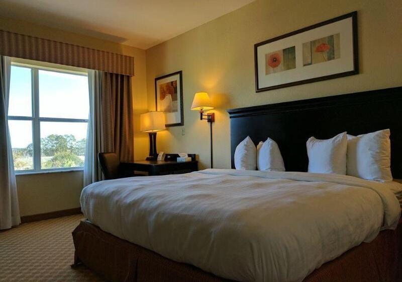 חדר סטנדרט עם מיטת קינג, Country Inn & Suites By Radisson, Tallahassee University Area, Fl