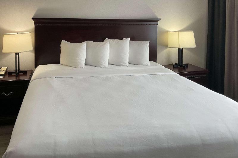 חדר סטנדרט עם מיטת קינג, Country Inn & Suites By Radisson, Tallahassee University Area, Fl