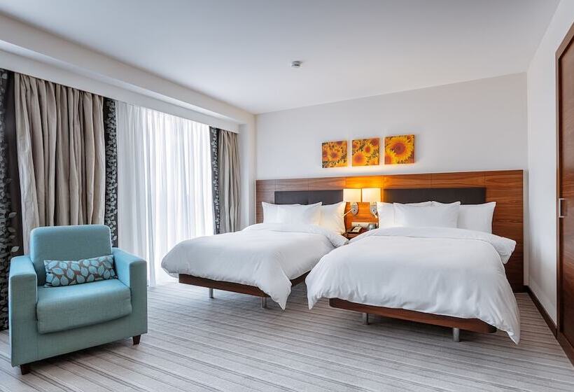 חדר סטנדרט, Hilton Garden Inn Krasnodar