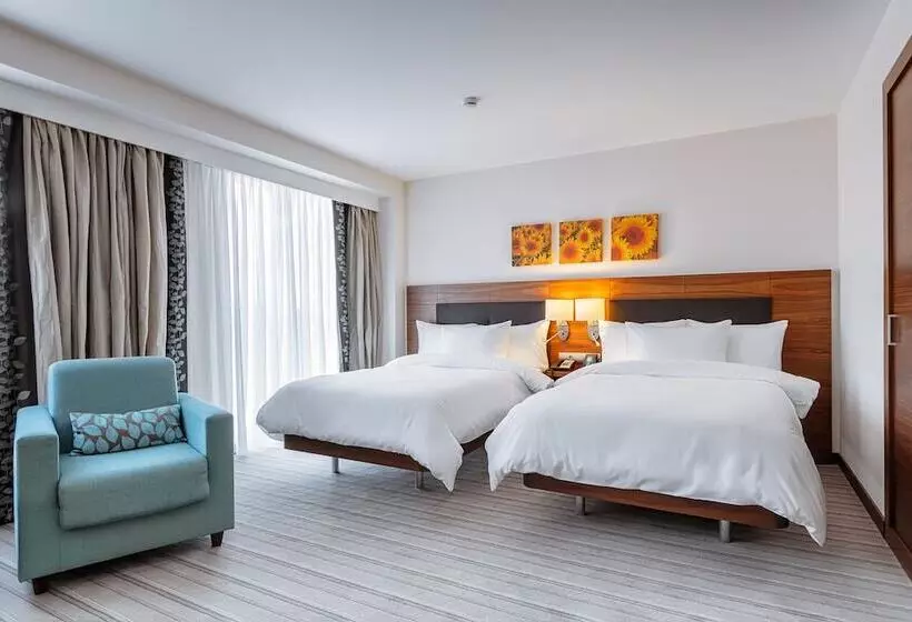 اتاق استاندارد, Hilton Garden Inn Krasnodar