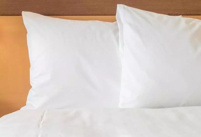 プレミアムルーム, Holiday Inn Taicang City Centre By Ihg